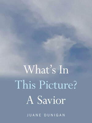 cover image of What's in This Picture? a Savior